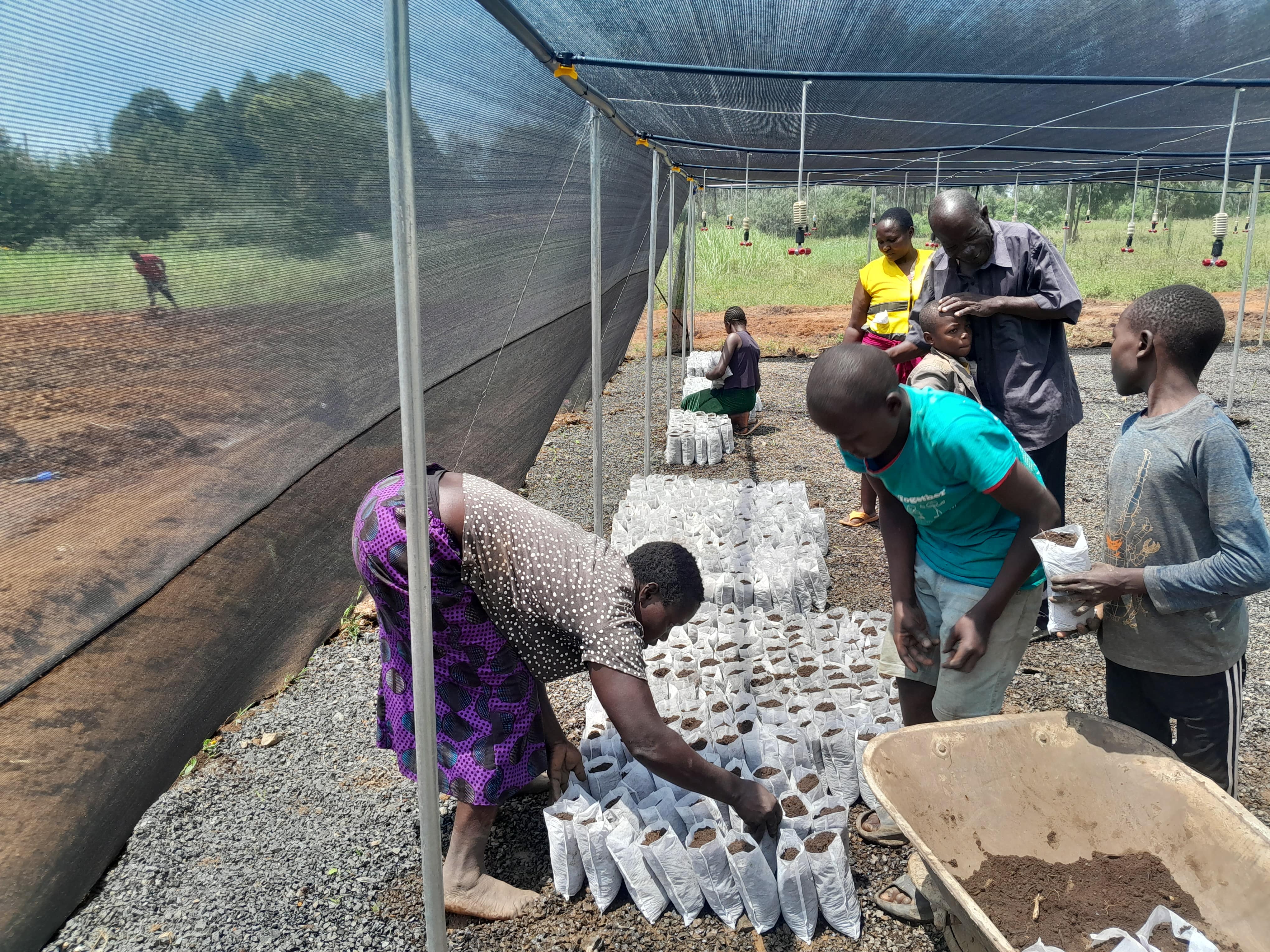 Kitchen Gardens and Poultry Farming